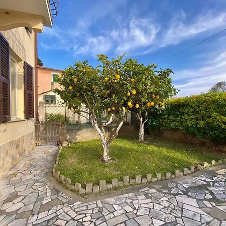 100 Meters From The Sea *